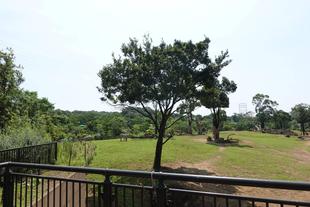 草原エリアのひとコマ