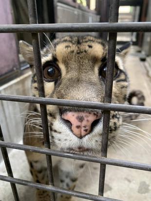 頑張れスパイダー!!!