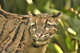 ブーは人気者なのです