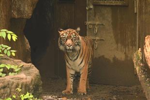 ラウト、お誕生日おめでとう！そして、いってらっしゃい！