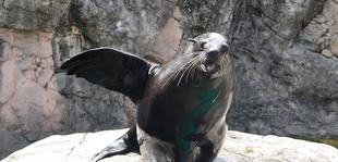 こっそりじゃない１ショットブログ　その５（最終回）