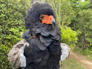 つめやすりにチャレンジ！