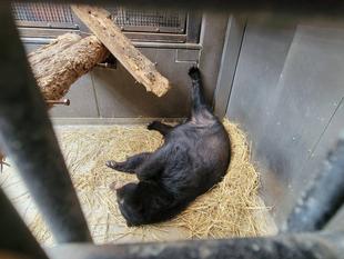 美雨の寝相に変化が...