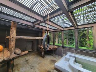 メガネグマに新たな遊具を!