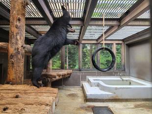 美雪の新しい遊具への反応