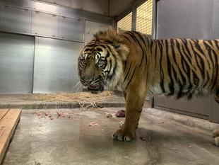 ここは父親似でしょうか？？