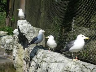 帰ってきました！！