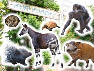 「アフリカの熱帯雨林」ゾーンの１ショットブログ　その１５