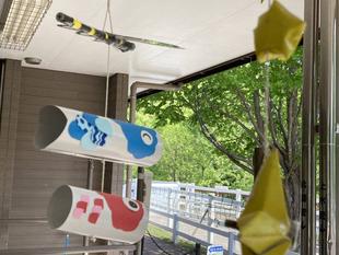 オニヤンマくん～その後～