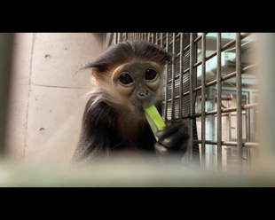 冬を乗り切る秘策③、④