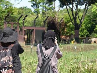 ズーラシア☆ドリーム~ズーラシアで夢、叶えました♪~(開園前入園編)