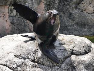 こっそりじゃない１ショットブログ　その１