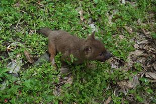 世界ドールの日☆*+。