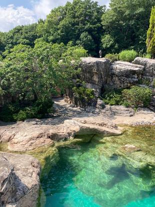 こっそり１ショットブログ