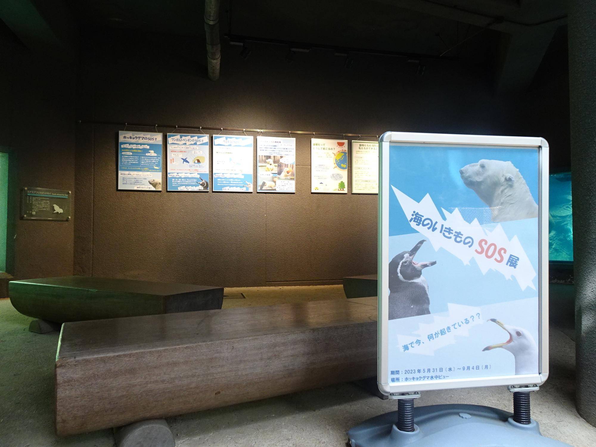 海のいきものSOS展の写真
