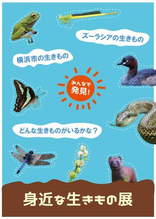 いっしょに探そう！ 足もとの素晴らしい世界 　〜企画展準備中〜