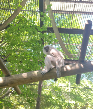 プロイ、展示場練習...頑張っています！