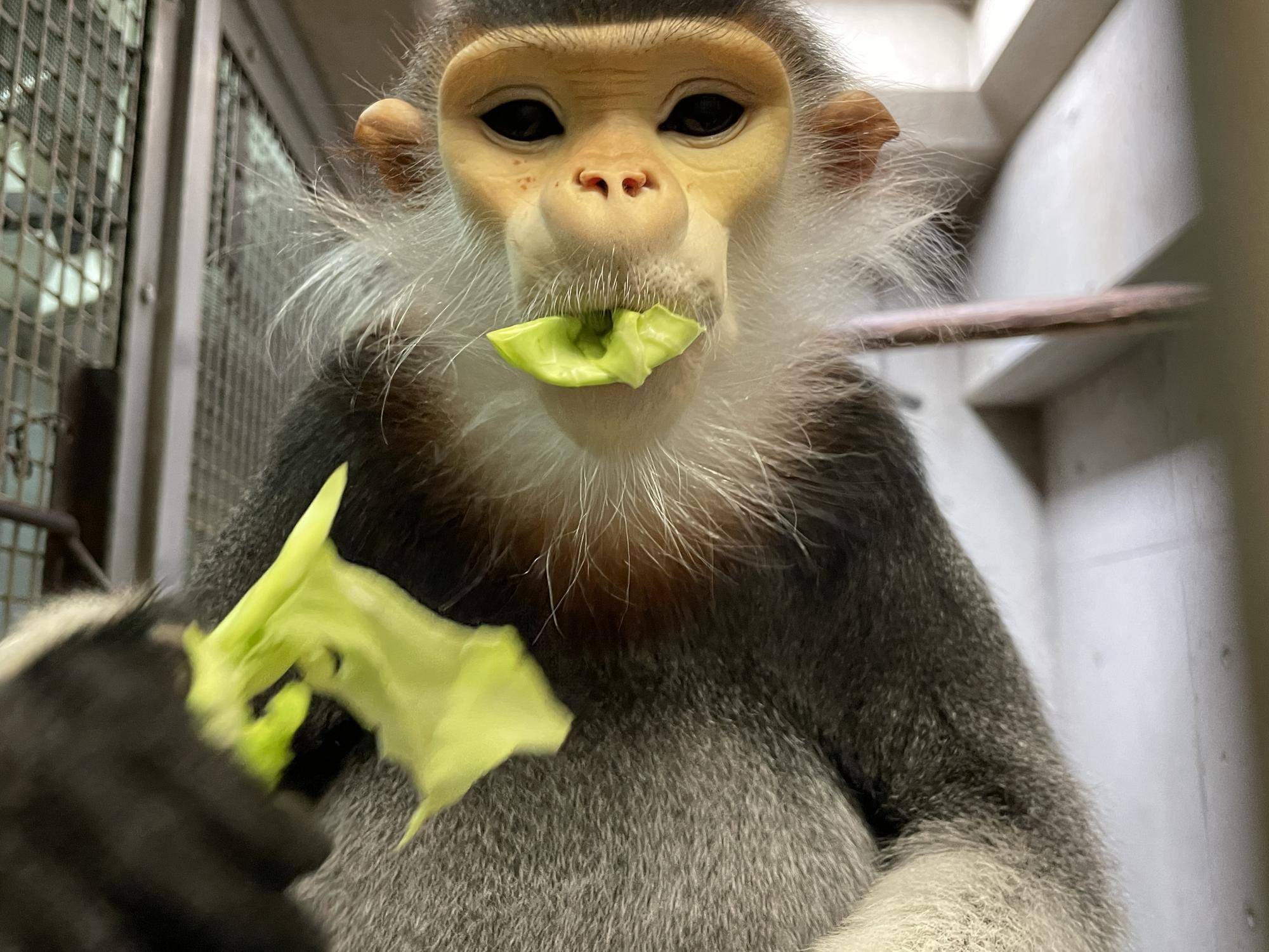 飼料班☆の写真