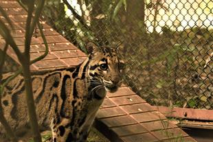 覚えているでしょうか?