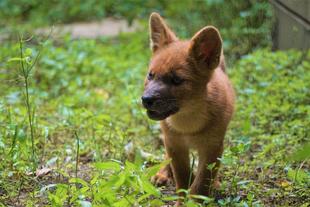 ドールの子どもの公開＆愛称投票☆*+。