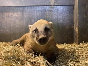 夏仕様になっています！