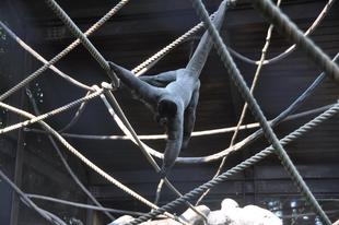 展示のお休みのお知らせ