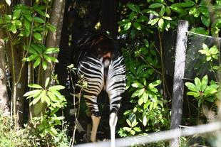 ちょっとだけですが・・見やすくなりました👀②