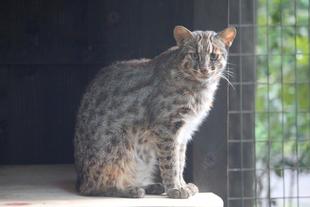 気に入ってくれるかな?