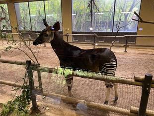 ちょっとだけですが・・見やすくなりました👀