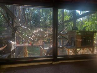 全頭そろいました！