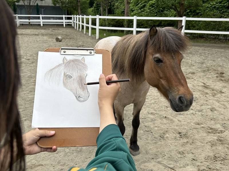 ぱかぱか美術部の写真