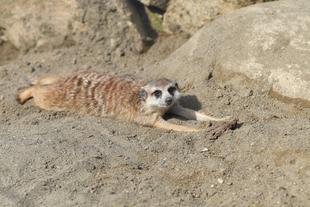 ミチル　ありがとう。