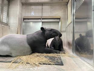 バク通信　ひでおの定位置