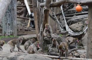 久しぶりの展示場！