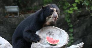 おメガネにかなわず？！