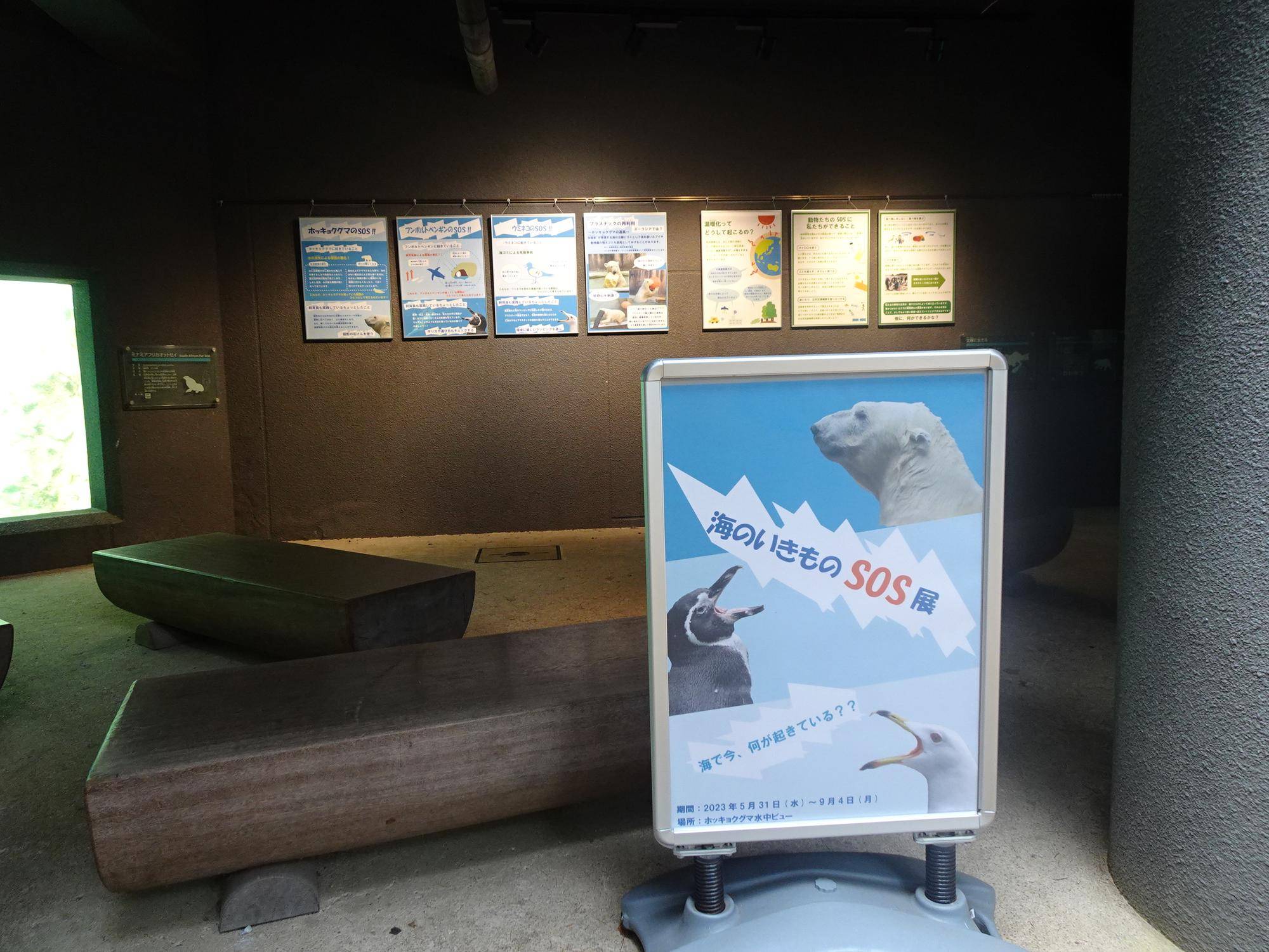 海のいきものSOS展 ~もうすぐ終了!~の写真