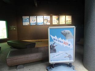 海のいきものSOS展　～もうすぐ終了！～
