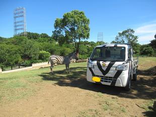 草原エリアの日陰特集☼