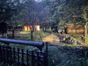 バク通信　ナイトズーラシア☆