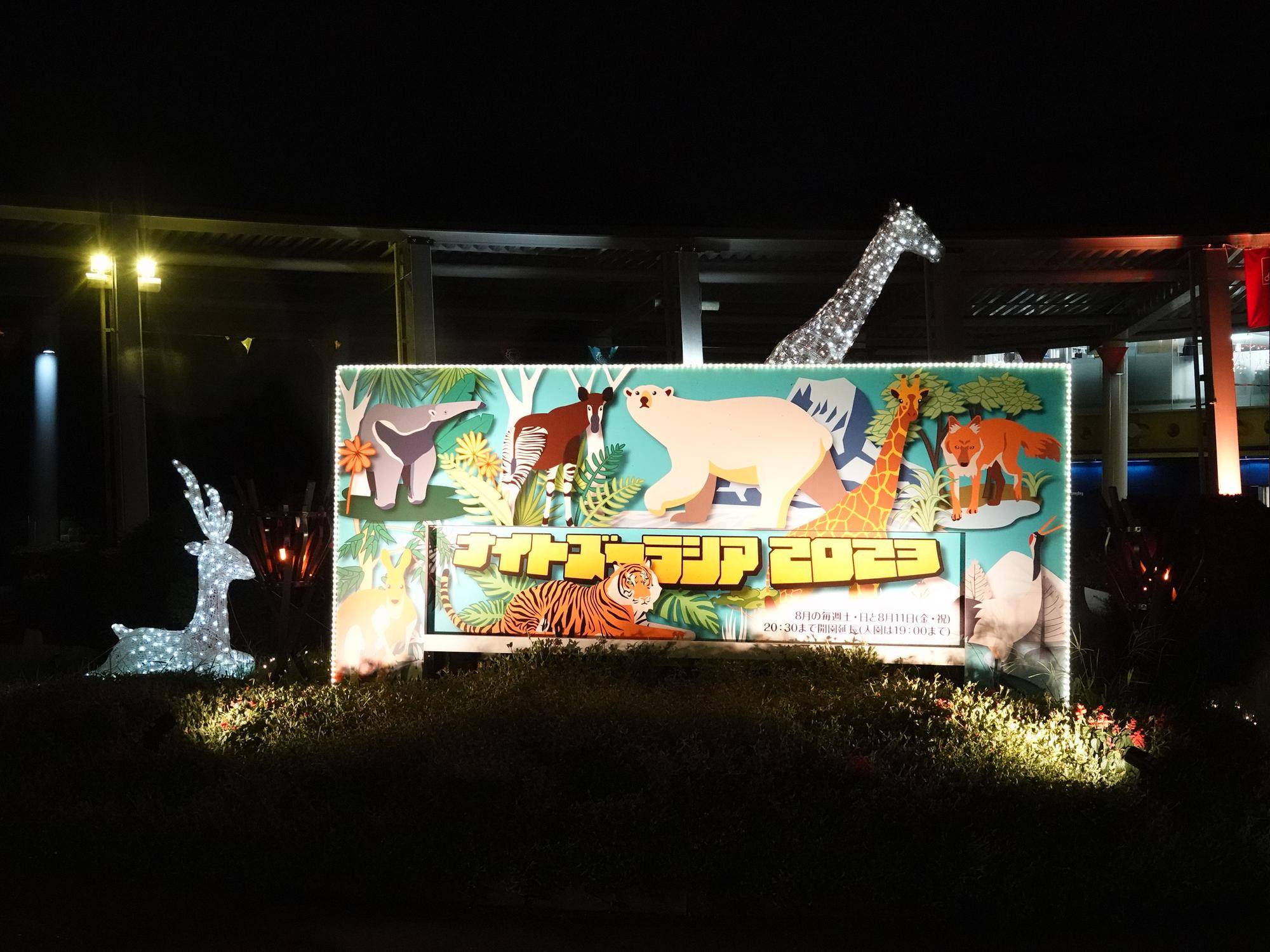 夜の動物園はいかがでしょうか?☆の写真