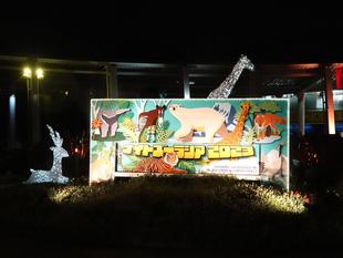 夜の動物園はいかがでしょうか？☆