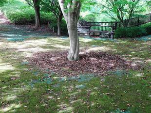 ～　掃除してないよ～！　～