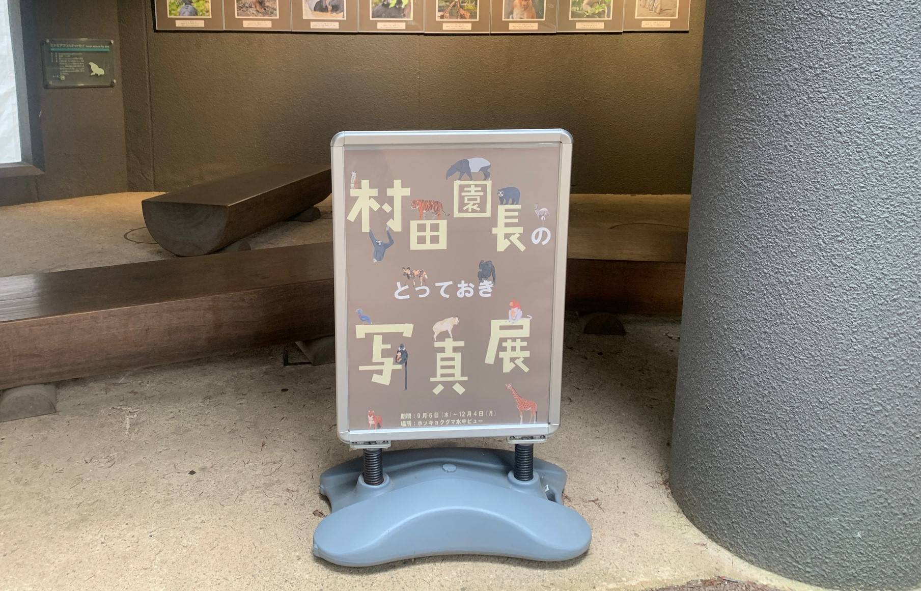 「村田園長のとっておき写真展」はじまっています!の写真