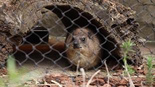 ありがとう、リーラ