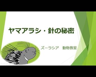 ズーラシアどうぶつ教室の９月　～１週目～