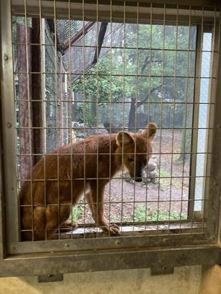 雨の日のドール☆*+。