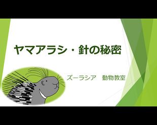 ズーラシアどうぶつ教室の９月～３週目～