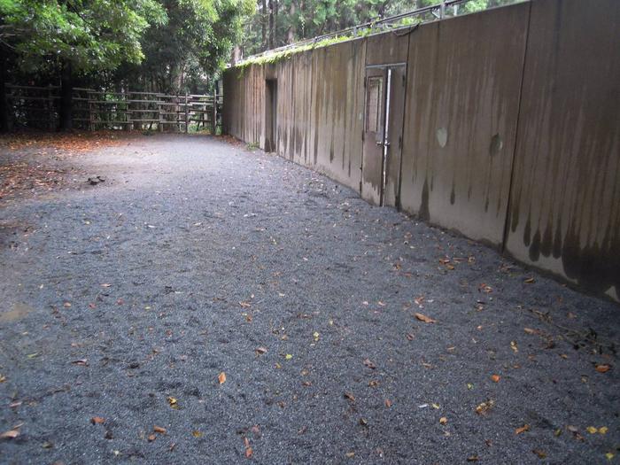 砕石を敷き詰めた獣舎入口.jpg