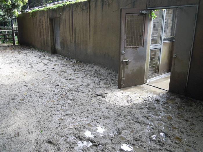ドロドロになった獣舎入口.jpg