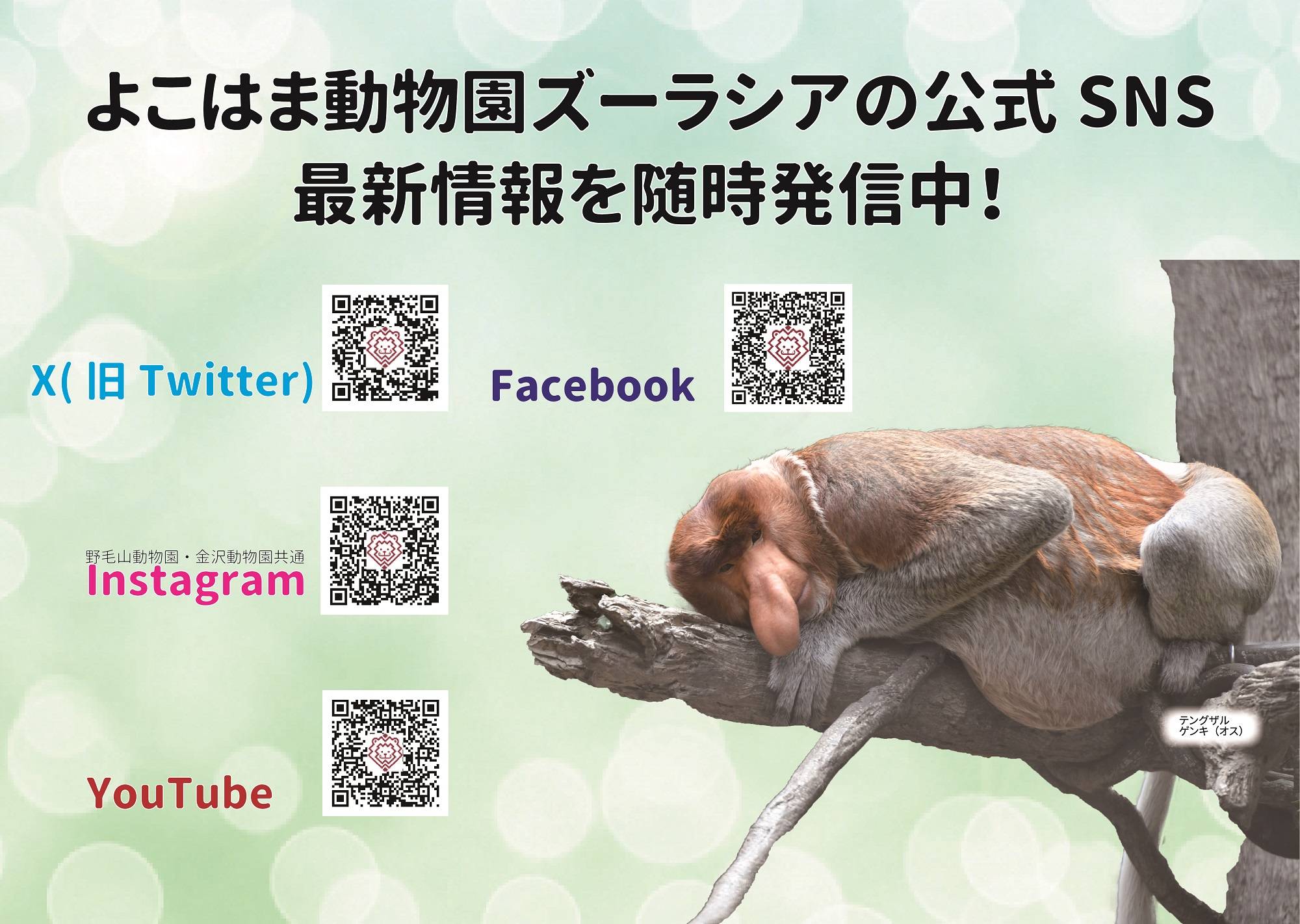 SNS・YouTube 随時発信中!の写真